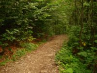 2014-08-02_06FritzPflaum-Steig (409).JPG